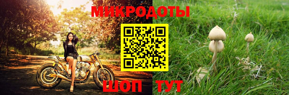 Псилоцибиновые грибы GOLDEN TEACHER Клинцы