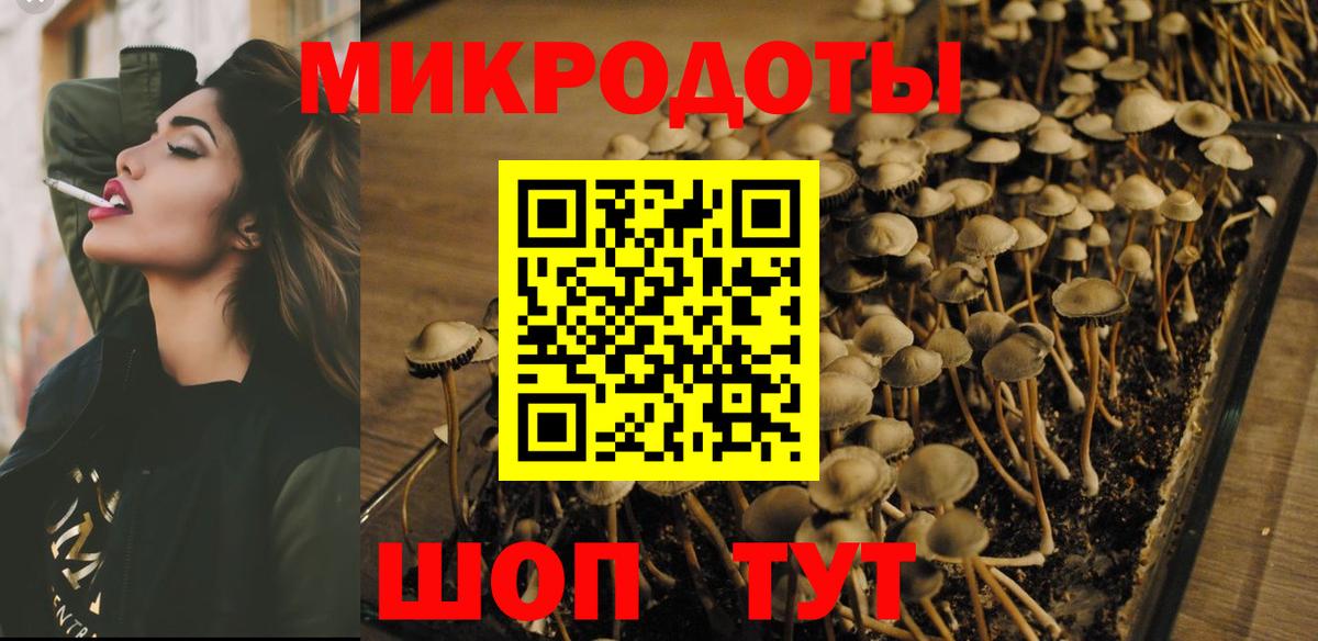 Клинцы  Псилоцибиновые грибы Psilocybe  Вход с VPN 